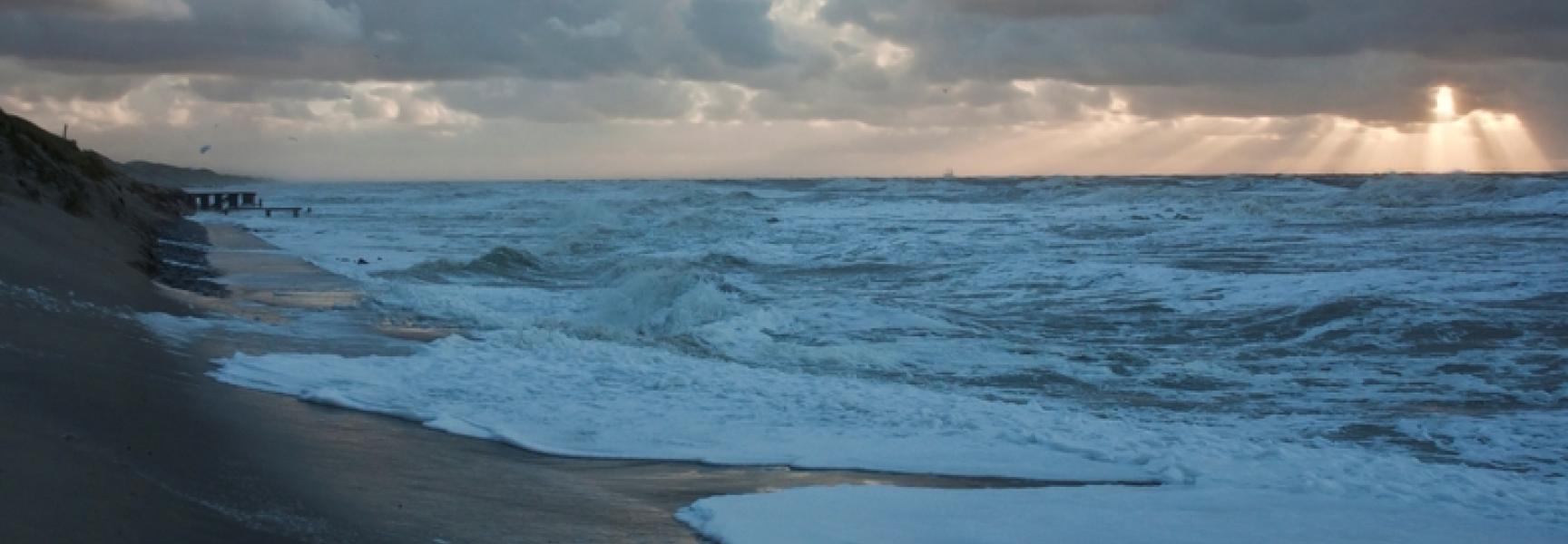 Eerste beelden bioscoopfilm De Wilde Noordzee nu te zien | ARK